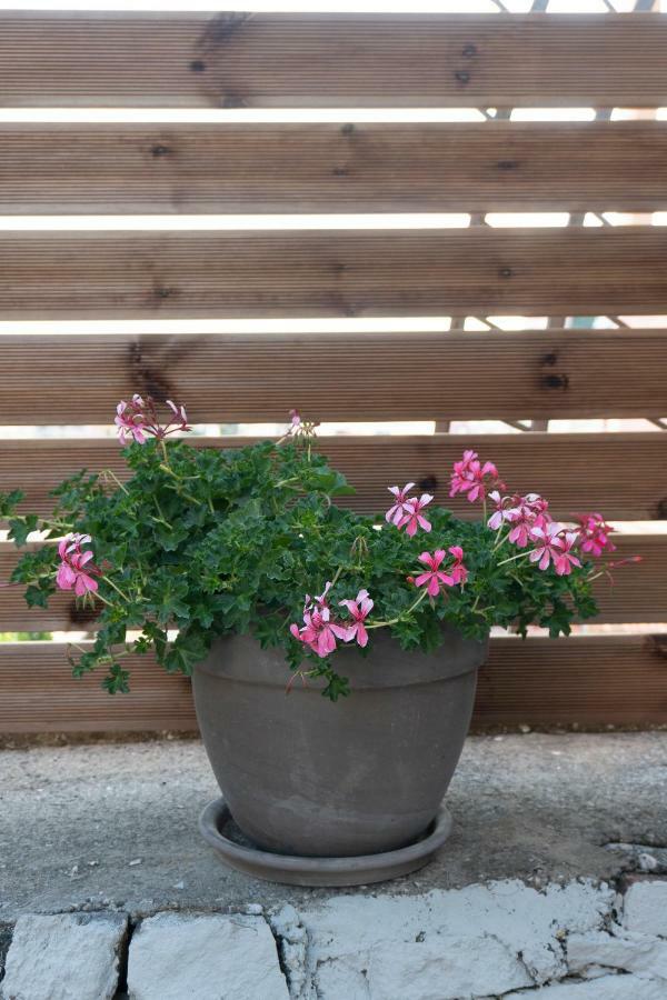 Petra'S House Apartment Kavála ภายนอก รูปภาพ